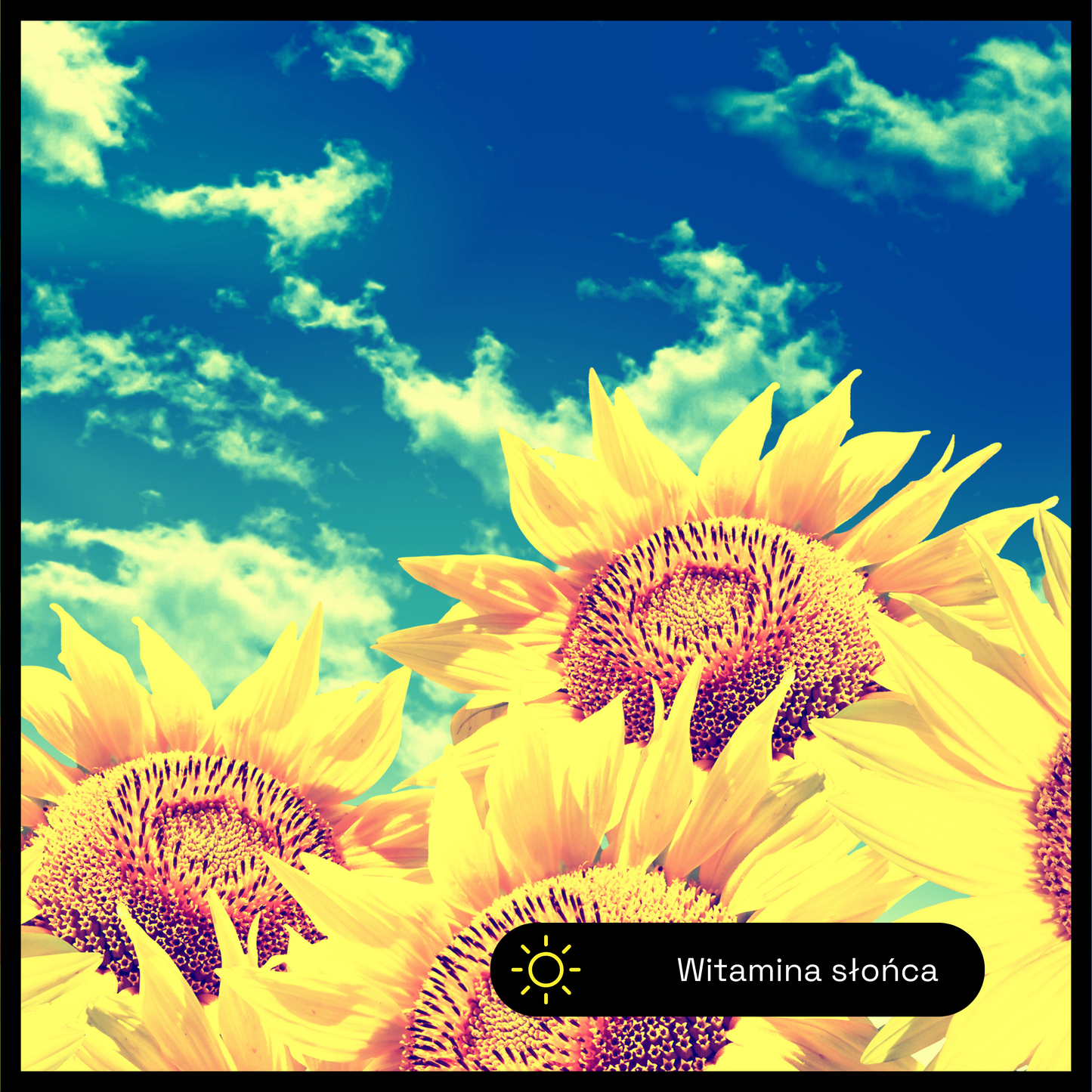 Witamina D3 + K2 w kroplach – naturalna synergia dla kości, serca i odporności