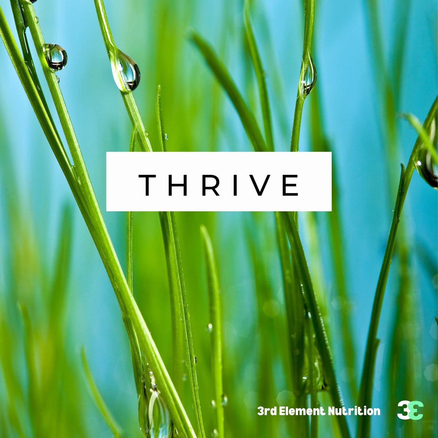 Witamina B Kompleks – 60 kapsułek