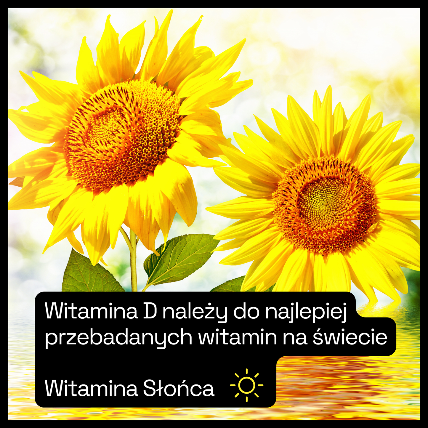 Witamina D3 w kroplach – 10 ml / 320 kropli – wegańska formuła, wspiera odporność, zdrowe kości i mięśnie